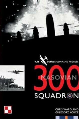 Cover of 300 Squadron