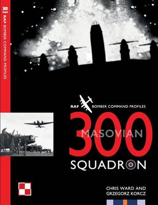 Book cover for 300 Squadron