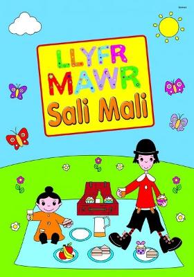 Book cover for Llyfr Mawr Sali Mali