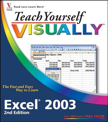 Book cover for Teach Yourself Visually Excel 2003