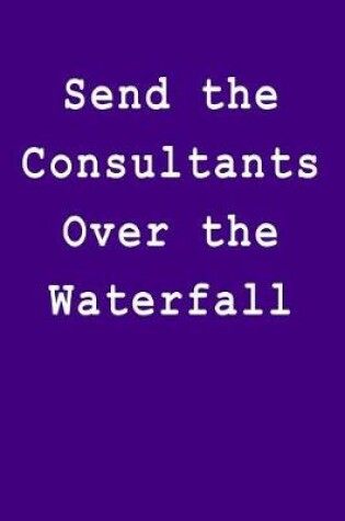 Cover of Send the Consultants Over the Waterfall