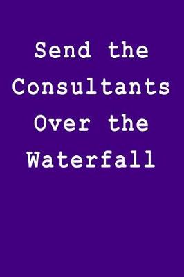 Book cover for Send the Consultants Over the Waterfall
