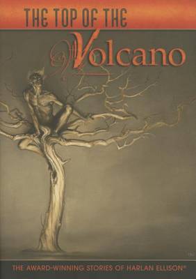 Book cover for The Top of the Volcano