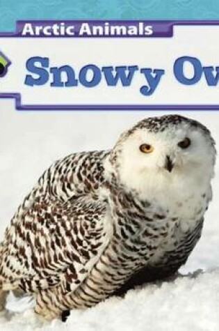 Cover of Snowy Owls