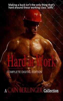 Book cover for Hard at Work