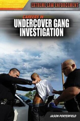 Cover of Careers in Undercover Gang Investigation: