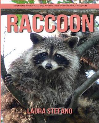 Book cover for Raccoon