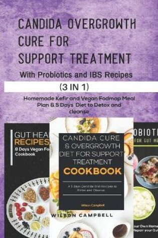 Cover of Candida Overgrowth Cure for Support Treatment with Probiotics and Ibs Recipes