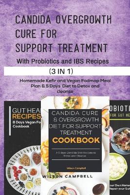 Book cover for Candida Overgrowth Cure for Support Treatment with Probiotics and Ibs Recipes