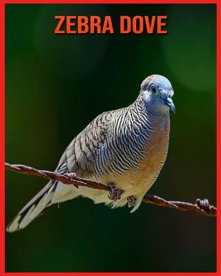 Book cover for Zebra Dove