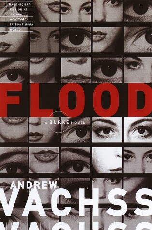 Cover of Flood