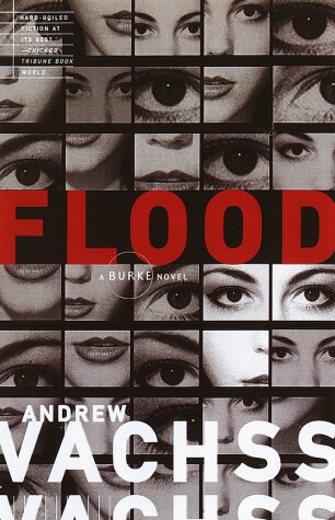 Book cover for Flood