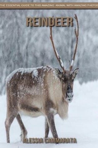 Cover of Reindeer