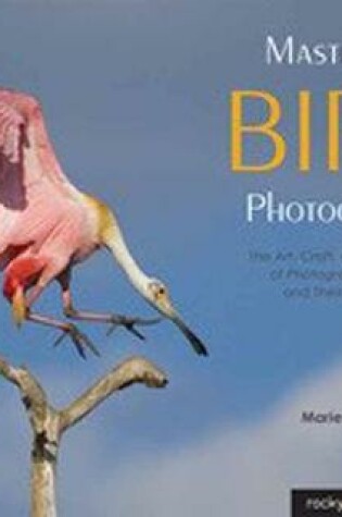 Cover of Mastering Bird Photography