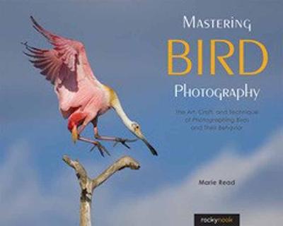 Book cover for Mastering Bird Photography