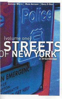 Book cover for Streets of New York Volume One