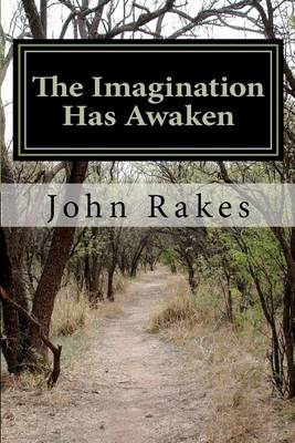 Book cover for The Imagination Has Awaken