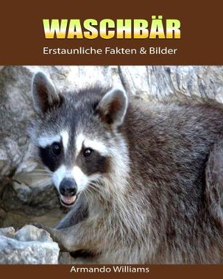 Book cover for Waschbar