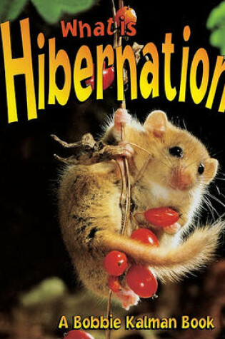 Cover of What Is Hibernation?