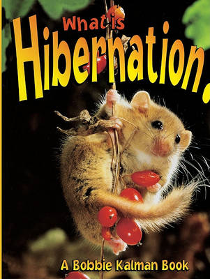 Book cover for What Is Hibernation?