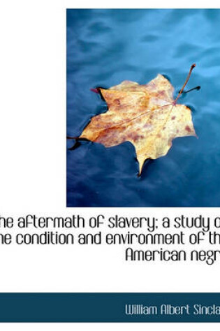 Cover of The Aftermath of Slavery; A Study of the Condition and Environment of the American Negro