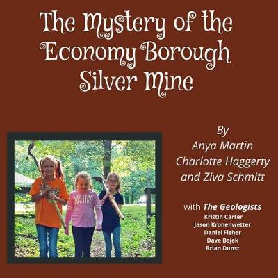 Book cover for The Mystery of the Economy Borough Silver Mine