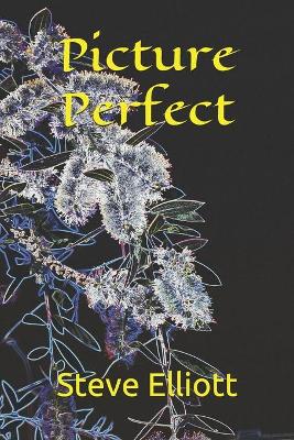 Book cover for Picture Perfect