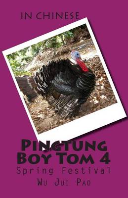 Book cover for Pingtung Boy Tom 4