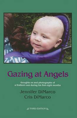 Book cover for Gazing at Angels