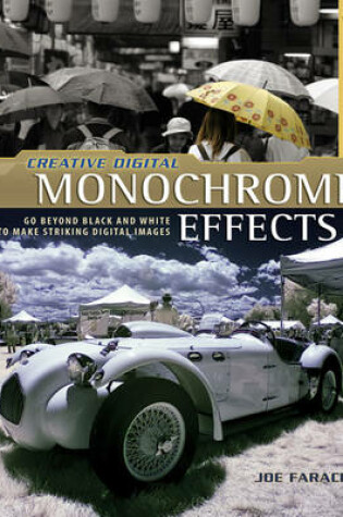 Cover of Creative Digital Monochrome Effects