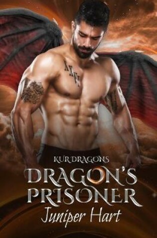 Cover of Dragon's Prisoner