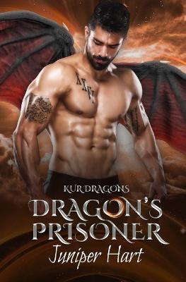 Book cover for Dragon's Prisoner