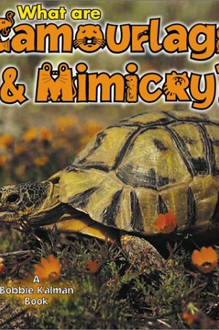 Cover of What Is Camouflage and Mimicry