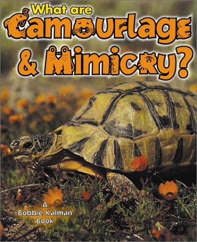 Cover of What Is Camouflage and Mimicry