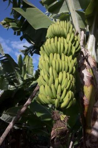 Cover of A Big Bunch of Green Bananas on a Tree Fruit Journal