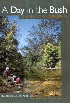 Book cover for A Day in the Bush