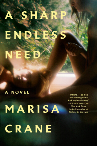 Book cover for A Sharp Endless Need