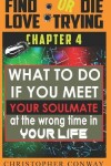 Book cover for What to Do if You Meet Your Soulmate at the Wrong Time In Your Life