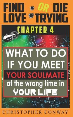 Book cover for What to Do if You Meet Your Soulmate at the Wrong Time In Your Life
