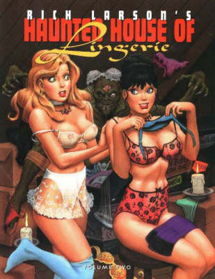 Book cover for Haunted House of Lingerie