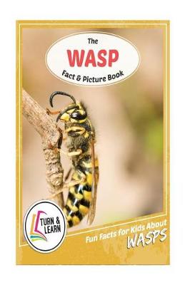 Book cover for The Wasp Fact and Picture Book