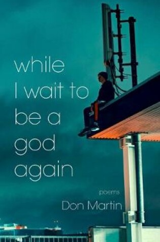 Cover of while I wait to be a god again
