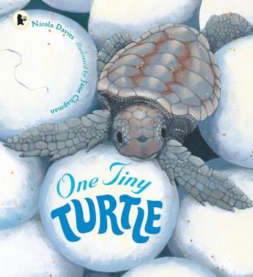 Book cover for One Tiny Turtle