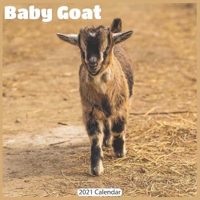 Book cover for Baby Goat 2021 Calendar