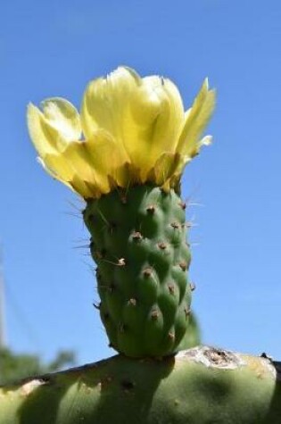 Cover of Yellow Cactus Bloom in the Desert Journal