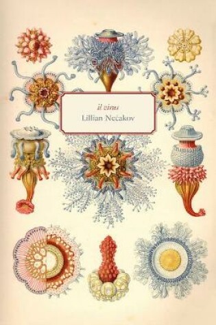 Cover of il virus