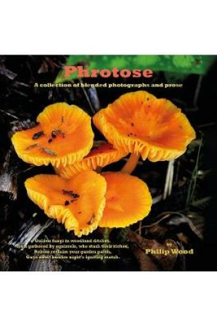 Cover of Phrotose