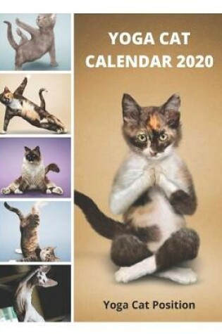 Cover of Yoga Cat Calendar 2020 - Yoga Cat Position