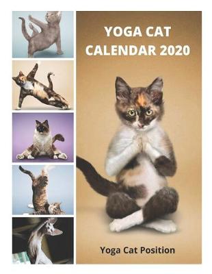 Book cover for Yoga Cat Calendar 2020 - Yoga Cat Position