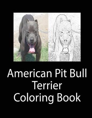 Book cover for American Pit Bull Terrier Coloring Book